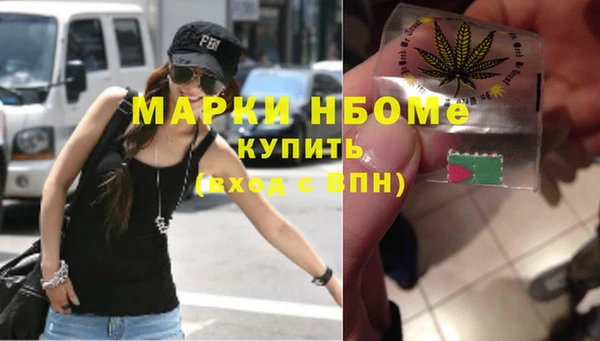 индика Аркадак