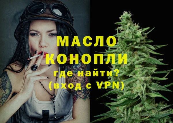 индика Аркадак