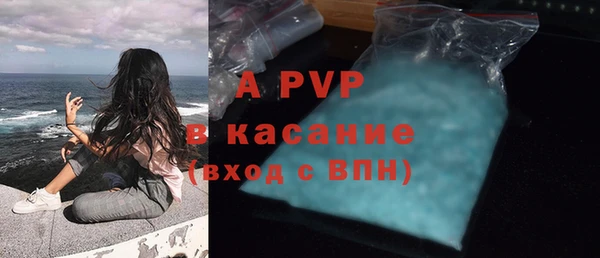 индика Аркадак