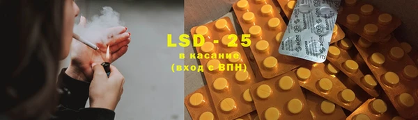 индика Аркадак