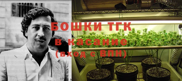 spice Арсеньев