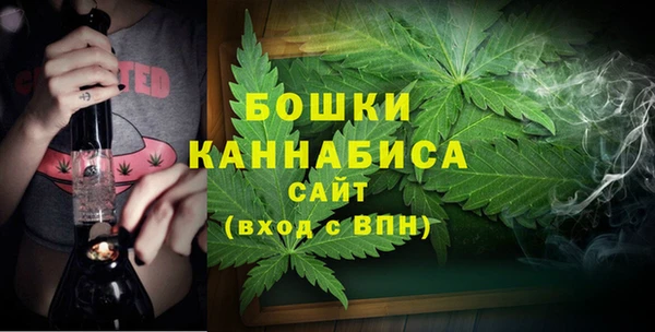spice Арсеньев