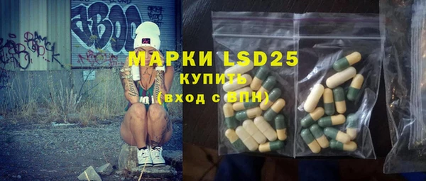 индика Аркадак