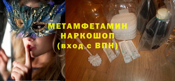 индика Аркадак