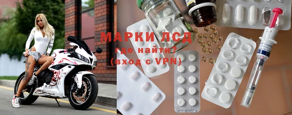 индика Аркадак