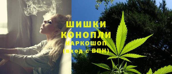 стаф Новозыбков