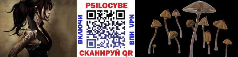ссылка на мегу вход  Ленинск-Кузнецкий  Псилоцибиновые грибы Psilocybine cubensis  магазин продажи наркотиков 