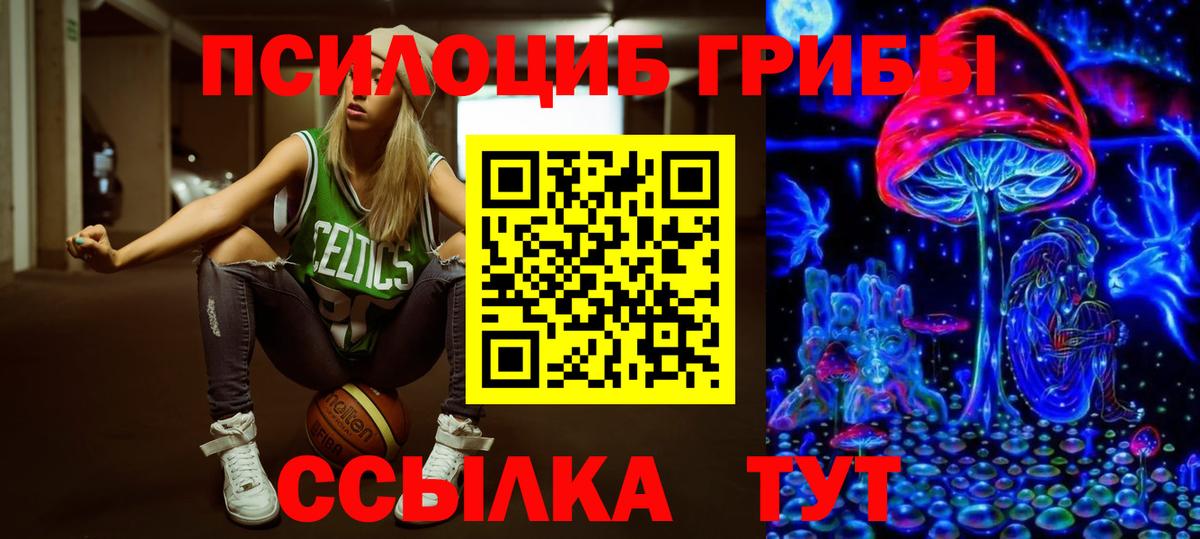 Галлюциногенные грибы прущие грибы Ленинск-Кузнецкий